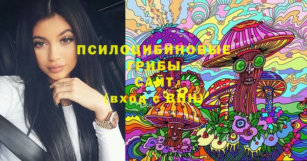 mix Алексин