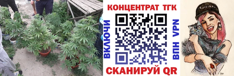 omg зеркало  Зеленогорск  ТГК вейп 